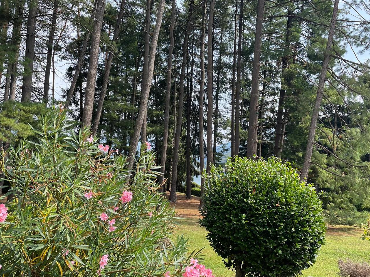Villa Mario - Casa Vacanze Lavena Ponte Tresa Kültér fotó